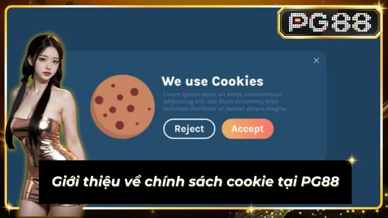 Đôi nét về chính sách cookie của nhà cái
