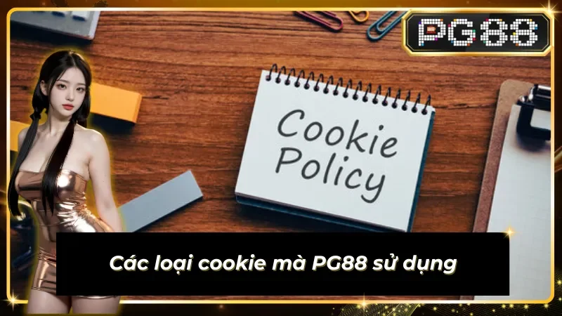 Chính sách cookie thích ứng đa nhu cầu