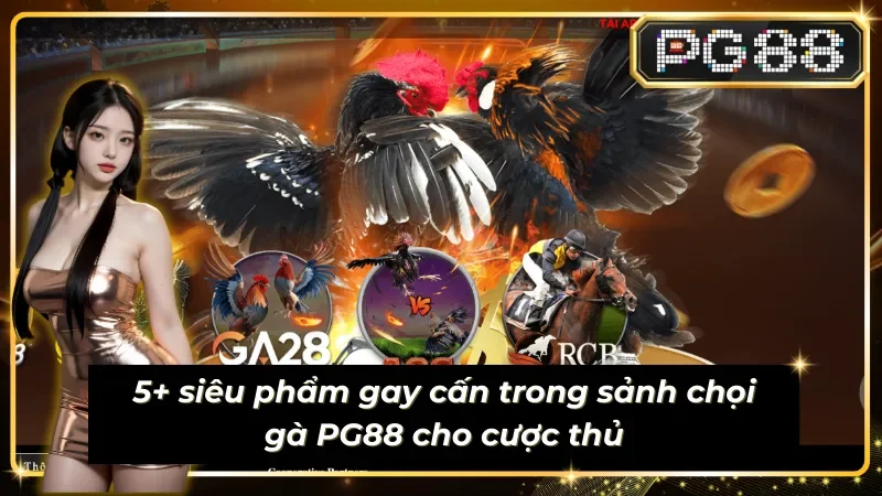 List 5 siêu phẩm ấn tượng tại Đá gà PG88 