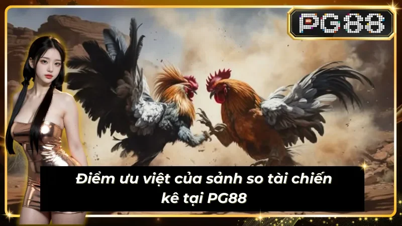 Đặc điểm riêng biệt của Đá gà PG88 so với sảnh chọi gà khác