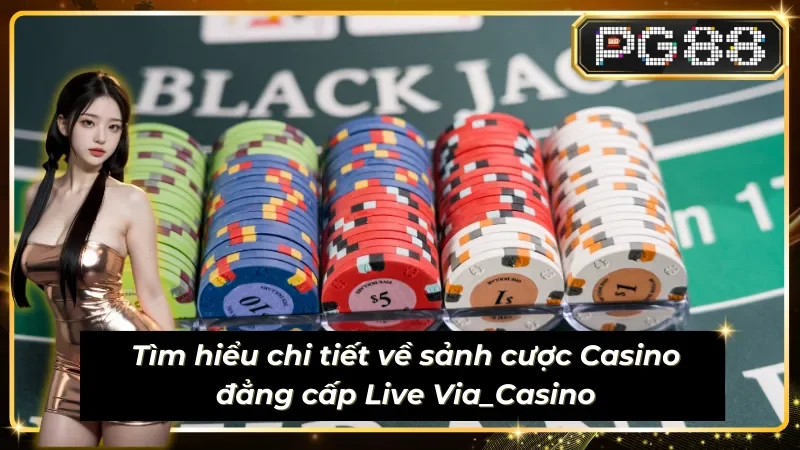 Khám phá thông tin về sảnh cược Live Via_Casino