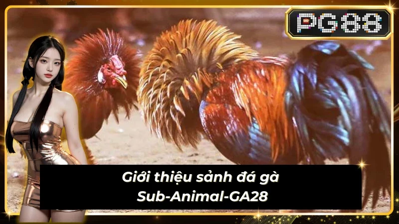 Thông tin đáng chú ý về sảnh Sub-Animal-GA28