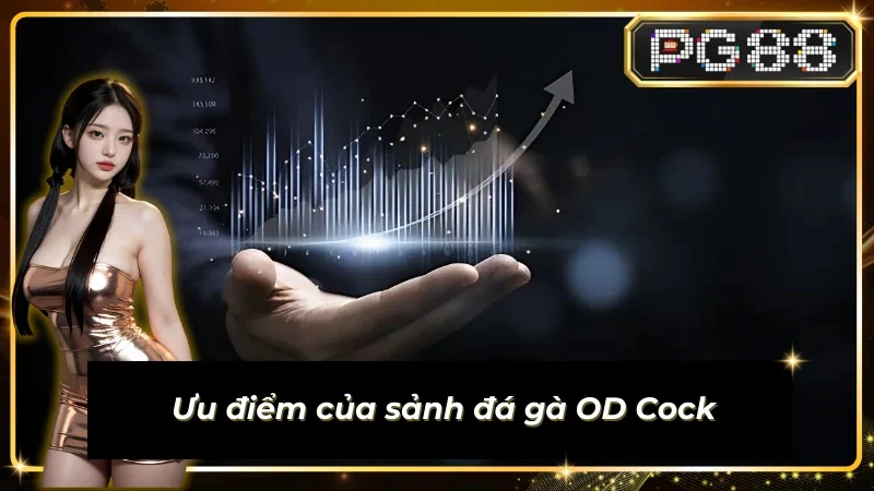 Yếu tố giúp sảnh Sub-Animal-OD_Cock thành công