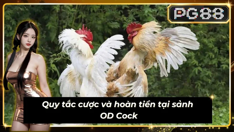 Quy tắc cược và hoàn tiền tại Sub-Animal-OD_Cock