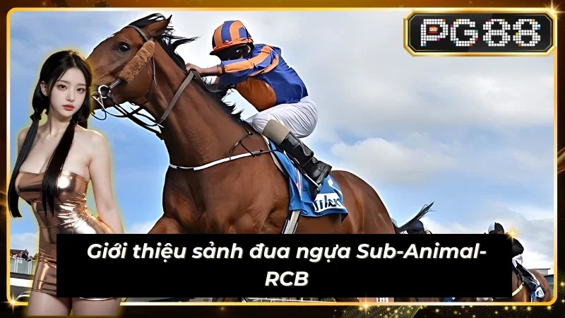 Thông tin đáng chú ý về sảnh Sub-Animal-RCB