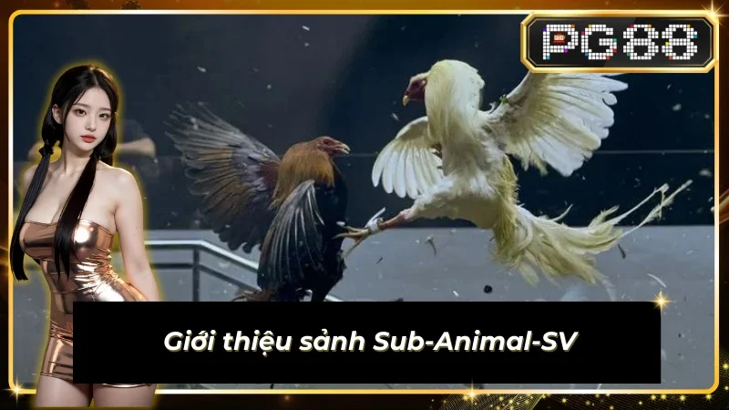 Thông tin đáng chú ý về sảnh Sub-Animal-SV