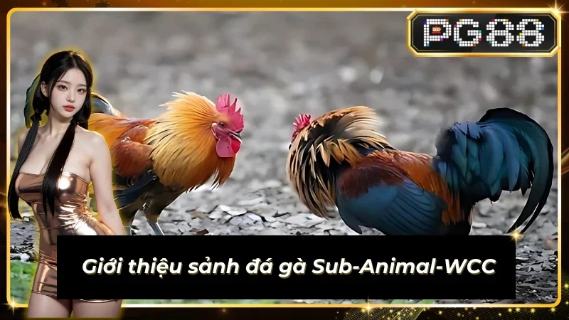 Thông tin đáng chú ý về sảnh Sub-Animal-WCC