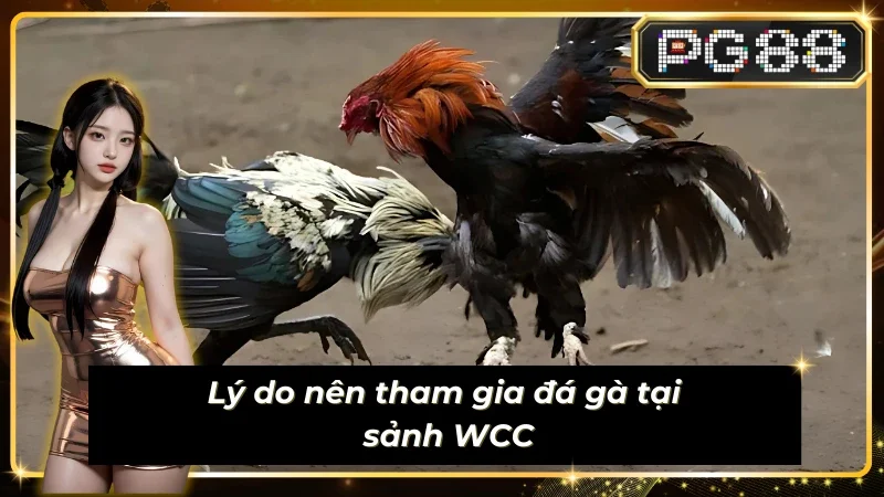 Yếu tố giúp sảnh Sub-Animal-WCC thành công