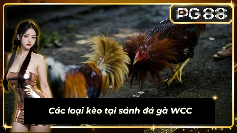 Phân loại kèo rõ ràng từ Sub-Animal-WCC