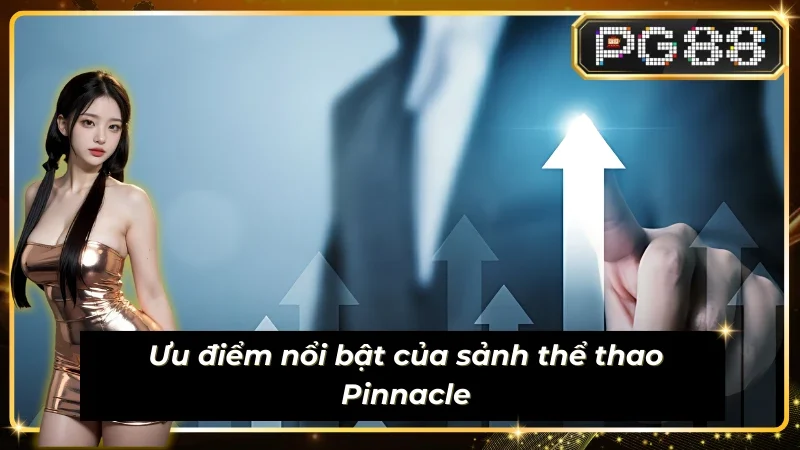 Thể mạnh khẳng định chất lượng của Sub-Sports-Pinnacle